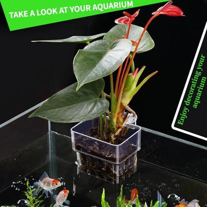 Side angle view of GLEFLE transparent aquascaping planter cup mounted securely on rimless aquarium glass.