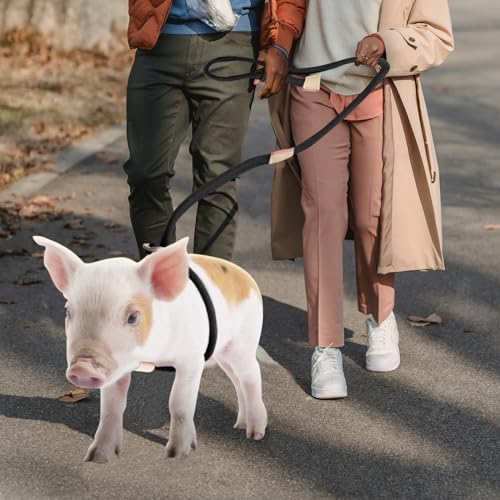Jinkoozz Mini Pig Harness And Leash side angle highlighting 8-foot long rope