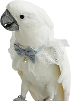Bird Collar, Bird Clothes, Parrot Bird Supplies, Cute Collar for Medium and Large Birds Eclectus Cockatoo African Grey Amazon Bow Tie Scarf Super Cute Costume Photo Prop for Parrots (Necktie) - Image 15