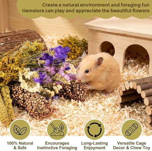 Sukh Natural Hamster Bedding Sprays - Foraging Habitat Decor Cage Accessories, Hideout Enrichment for Dwarf & Syrian Hamsters, Gerbils, Mice and Other Small Animals - Image 3