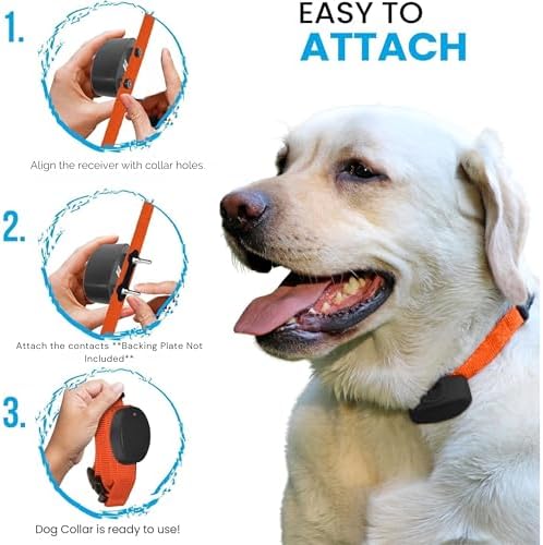 Close up of Gracie To The Rescue collar buckle mechanism
