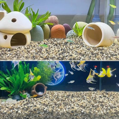 Textured view of Shizwu natural coarse sand for terrariums