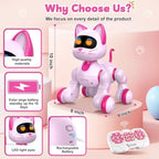 USB charging port and remote control details of Uiopy robot pet