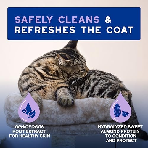 Douxo Spa low stress refresh cat mousse imported bottle