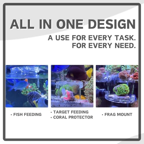 Miofis reef safe food catcher attached to fifteen millimeter thick glass panel.