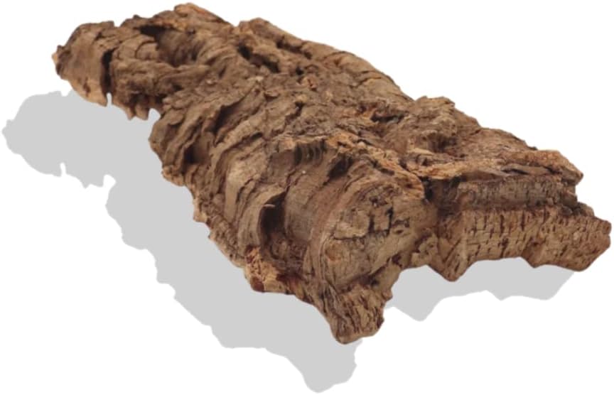 Close-up texture of heat-treated cork bark background material