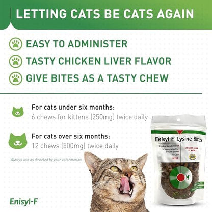 Vetoquinol Enisyl-F Lysine chews 6.4 ounce recloseable pouch