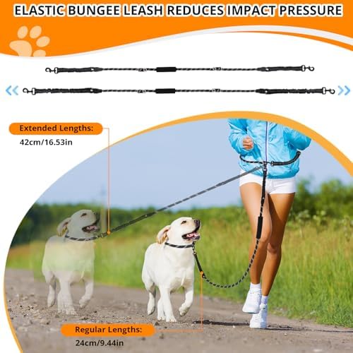 Neoguly heavy duty dog leash full set flat lay