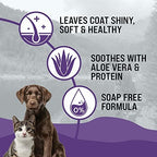 Tearless pet shampoo bottle showing sixteen fluid ounces measurement.