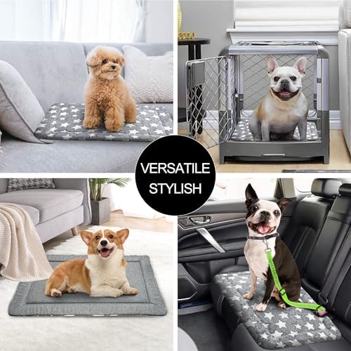 Plush pet mattress showing its full dimensions for small and medium dogs