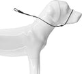 Los Andes dog head collar front view for pet training