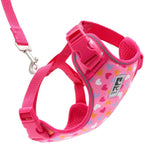 RC Pets Adventure Kitty Cat Harness | Adjustable Airmesh Vest with D-Ring and 6ft Leash for Walking and Travel | Marigold, Medium - Image 10