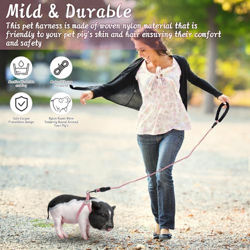 Packaging view of the authentic imported YeeBeny mini pig walking harness