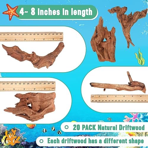 Suzile imported natural hardwood branches arranged together showcasing rustic textures for reptile terrariums.