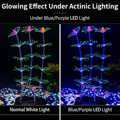 Uniclife glowing effect coral ornament under blue light
