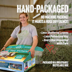 Small Pet Select Orchard Grass Hay for rabbits and guinea pigs