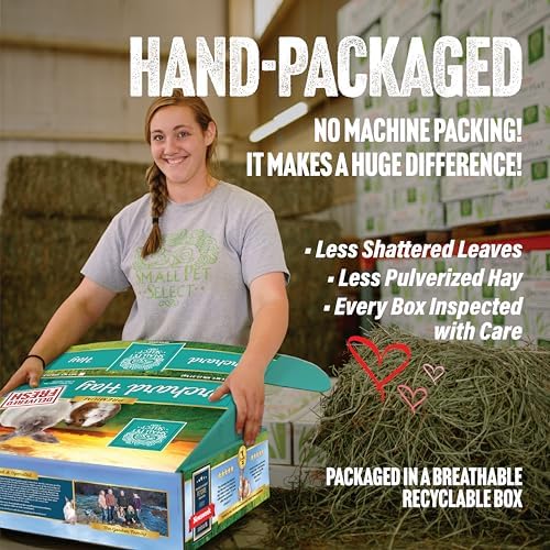 Small Pet Select Orchard Grass Hay for rabbits and guinea pigs