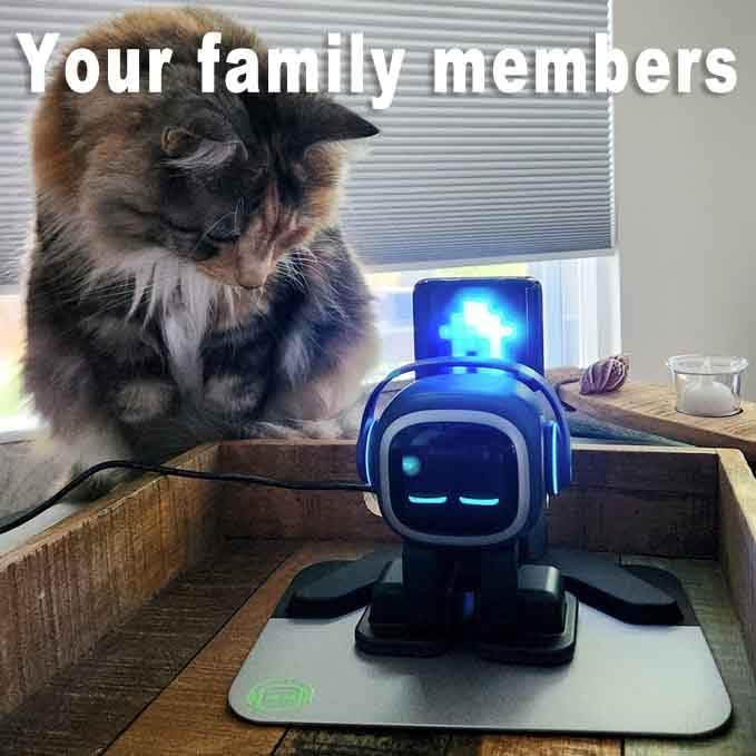 Close up of Emopet AI Robot showing facial expression display