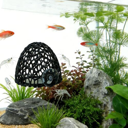 Stable resting place for guppies and dwarf shrimp showing dimensions