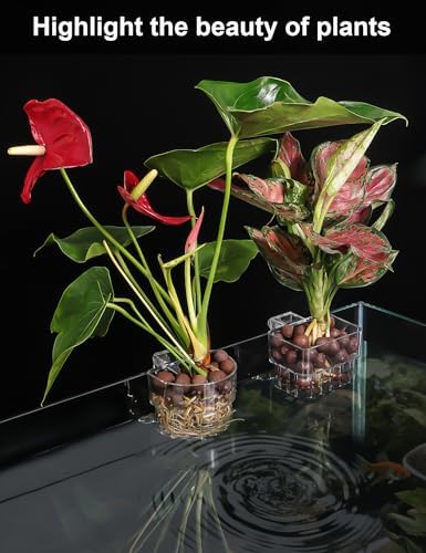 Roetelo hanging fish tank plant basket showing the slotted bottom for water circulation