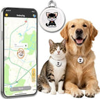 Vebiso waterproof pet tracking tag attached to a dog collar during an outdoor walk.