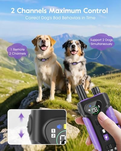 Slopehill pet electric collar setup illustrating the five humane training modes.