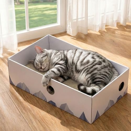 Indoor cat relaxing comfortably on the top cardboard lounger bed