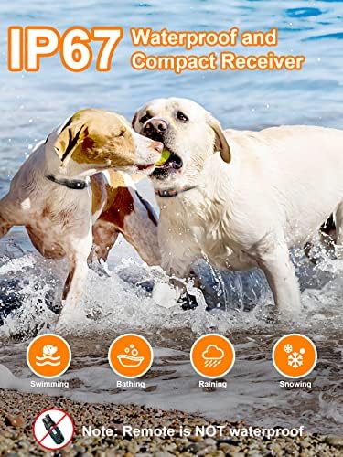 Bousnic dog shock collar system components and charging cable