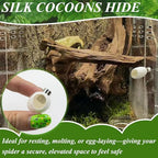 Jumping Spider Habitat Accessories Enclosure Habitat Accessories Jumping Spider Web Climbing and Feeding Platforms with Magnets for Small Insects Critters - Image 6