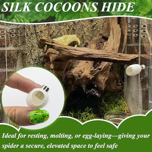 Jumping Spider Habitat Accessories Enclosure Habitat Accessories Jumping Spider Web Climbing and Feeding Platforms with Magnets for Small Insects Critters - Image 6
