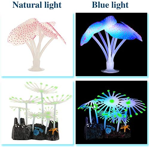 Weewooday glowing sea anemone and lotus leaf display