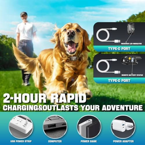HawuMasseur static shock collar packaging components including the receiver strap and remote transmitter.