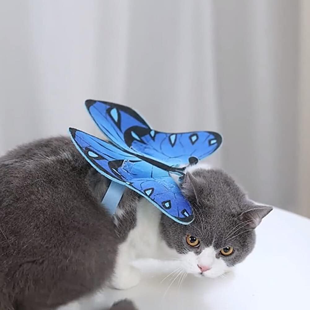 Puppy dressed in blue butterfly costume wings accessory