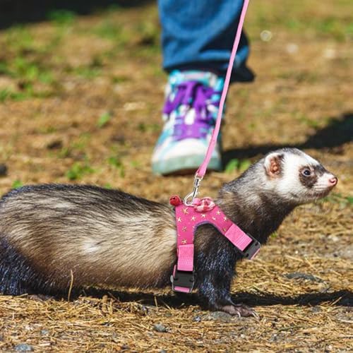 Wontee guinea pig harness and leash set displayed flat with bowknot and bell