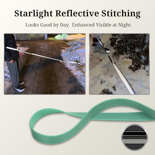 Reflective stitching detail on Pawzpal mint green dog leash