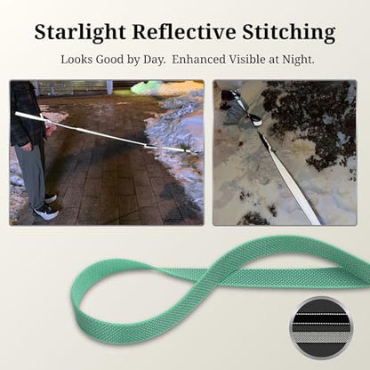 Reflective stitching detail on Pawzpal mint green dog leash