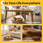 Conlun non toxic indoor cat scratcher bowl with catnip application