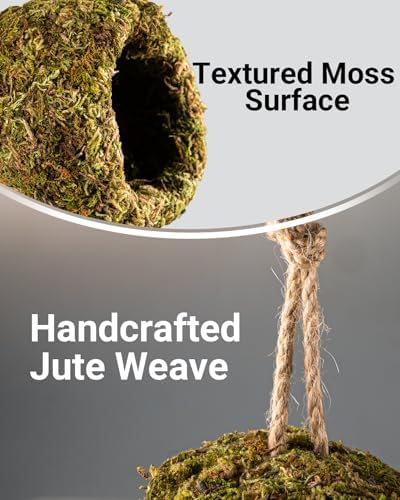 Handmade Crested Gecko Tank Accessories - Bearded Dragon Accessories, Reptile Hideout, Hermit Crab and Small Reptile Habitat 4.7x3.5x9in - Image 4
