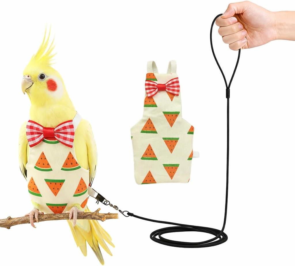 HIHETE outdoor leash and diaper set complete