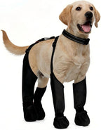 Zermatigo all-in-one dog suspender boots front view