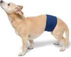 PlayaPup reusable dog diaper band for incontinence management
