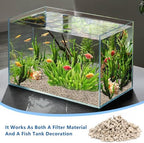 White coral fragments inside a fish tank filtration system setup