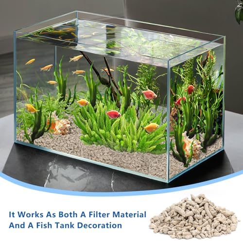 White coral fragments inside a fish tank filtration system setup