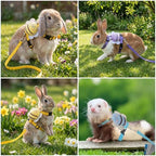 Four pack of blue purple pink and yellow small pet walking leashes