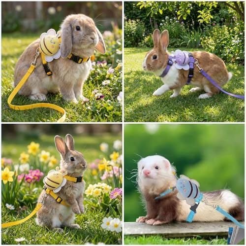 Four pack of blue purple pink and yellow small pet walking leashes