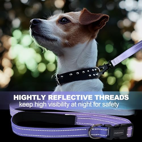 Adjustable bungee dog leash waist belt feature