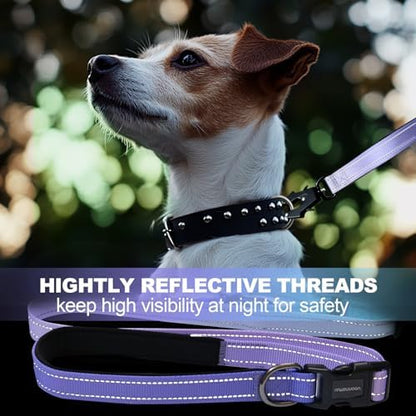 Adjustable bungee dog leash waist belt feature