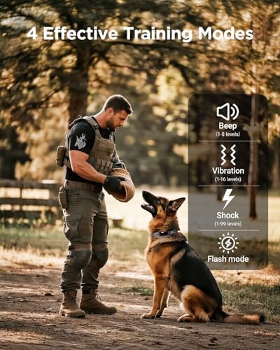 Rugged impact resistant dog remote collar showcasing durable tactical casing