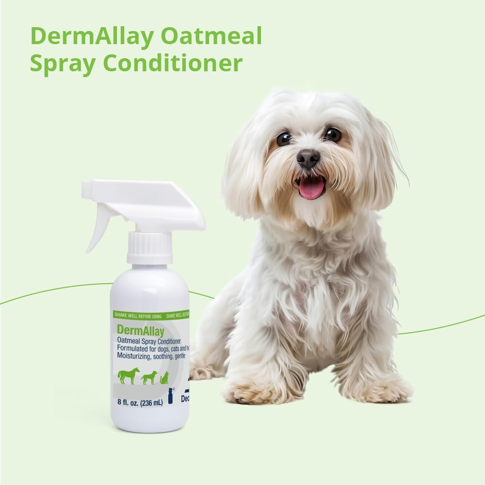 DermAllay soothing pet conditioner container lifestyle angle