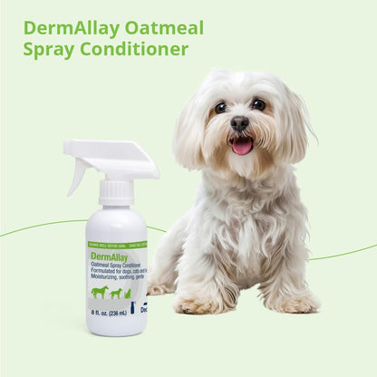 DermAllay soothing pet conditioner container lifestyle angle